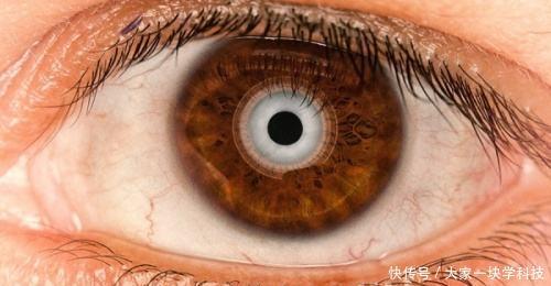 三D打印仿生技術(shù)取得新打破，仿生眼球，仿生脊柱或?qū)柺?></div>
				<div   id=