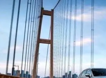 新能源汽車供應(yīng)鏈上，誰才是真正的“獵人”？